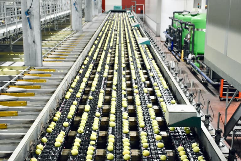 Food Processing